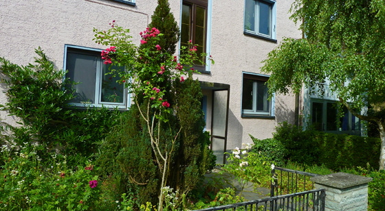 P1010707-Engangsbereich mit Baumarktrose-560