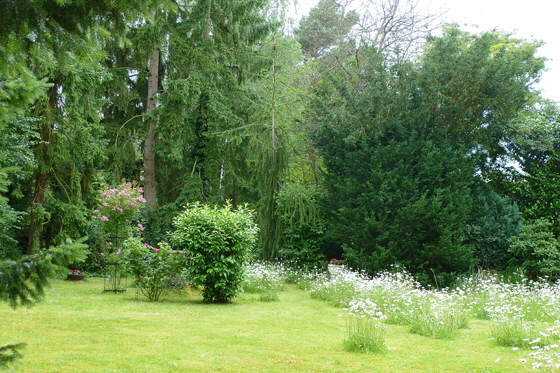 P1060241-Frhlingsgarten gegen Abend-560